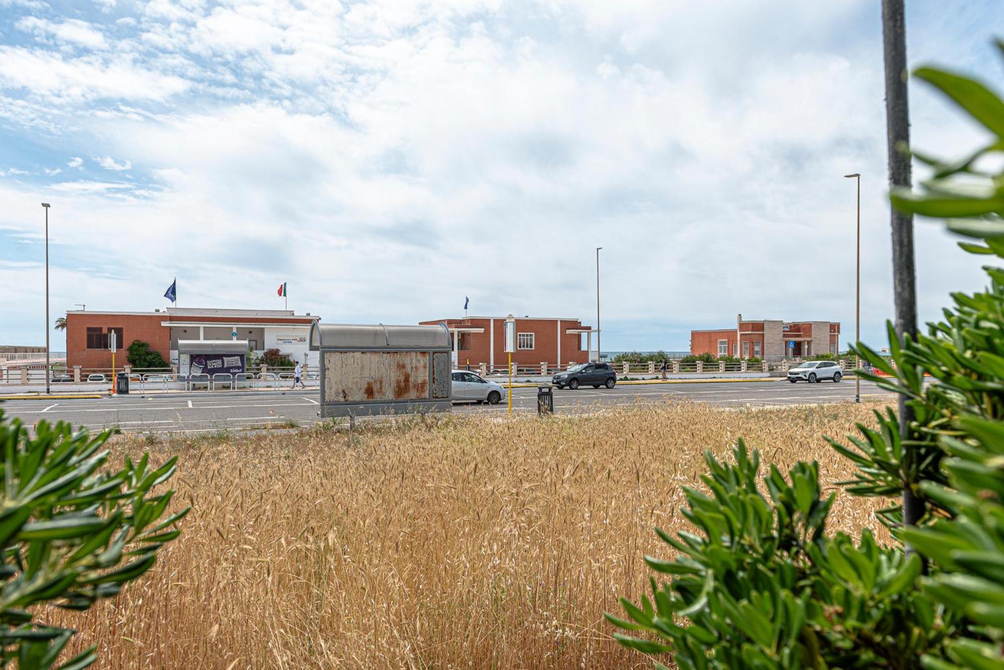 Villino Dei Coralli Lido di Ostia Zewnętrze zdjęcie