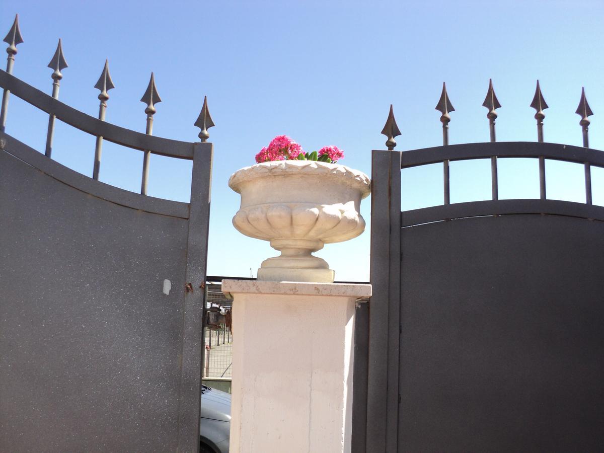 Villino Dei Coralli Lido di Ostia Zewnętrze zdjęcie