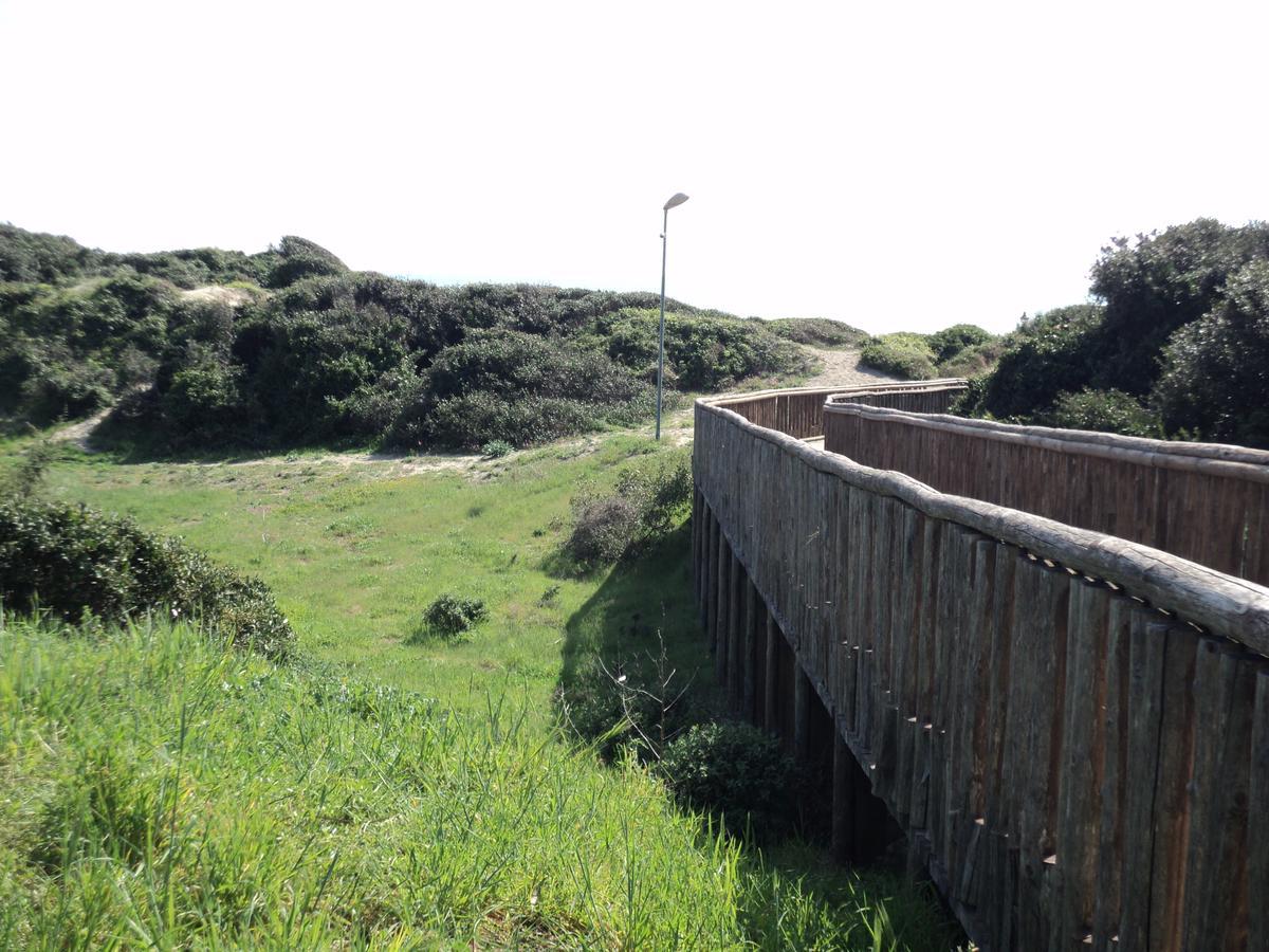 Villino Dei Coralli Lido di Ostia Zewnętrze zdjęcie